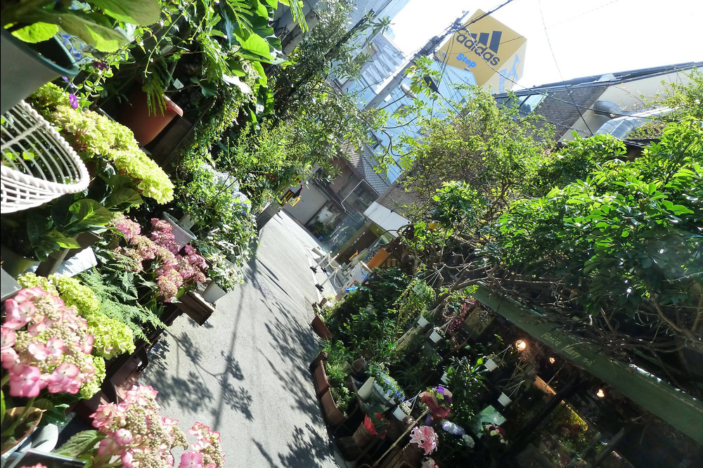 floristmary_1.jpg